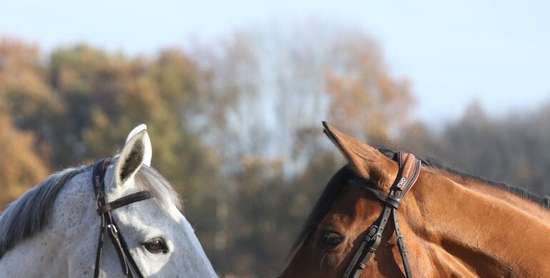 Child of Love joins her famous family at Team Philippaerts