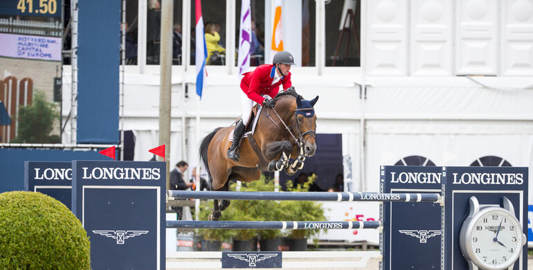 Ashford Farm’s Zerlin M sold to Home Farm Stallions in the UK