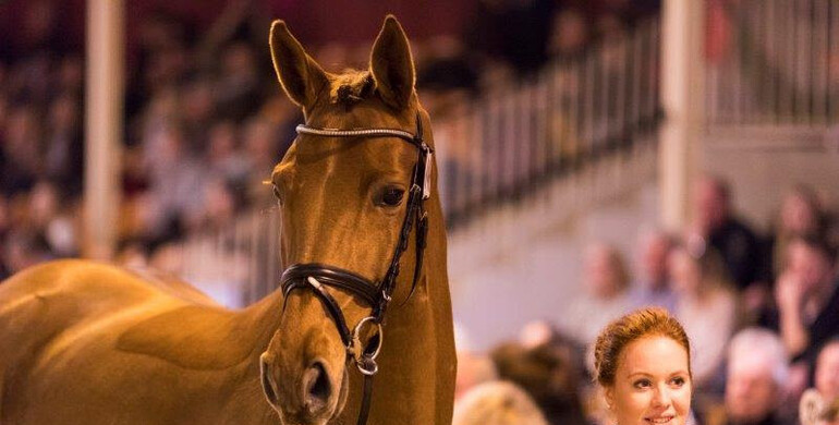 Stakkato-daughter sells for 2.4 million Euros at XXXIX. P.S.I. Auction