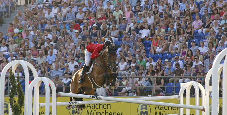 Jos Verlooy's success horse Domino retires from the sport