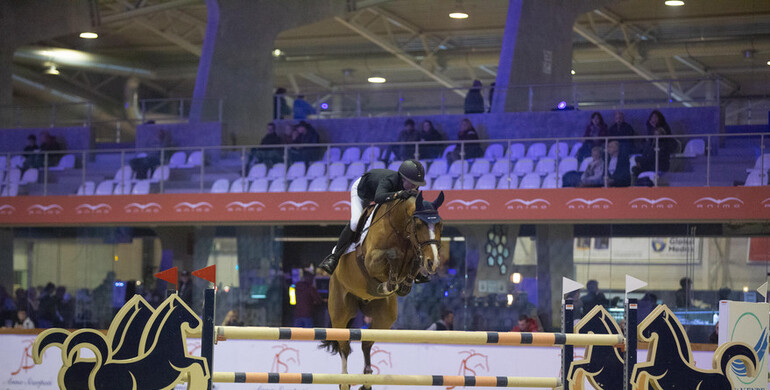 Augustsson Zanotelli sell Jack van het Dennehof to the UK