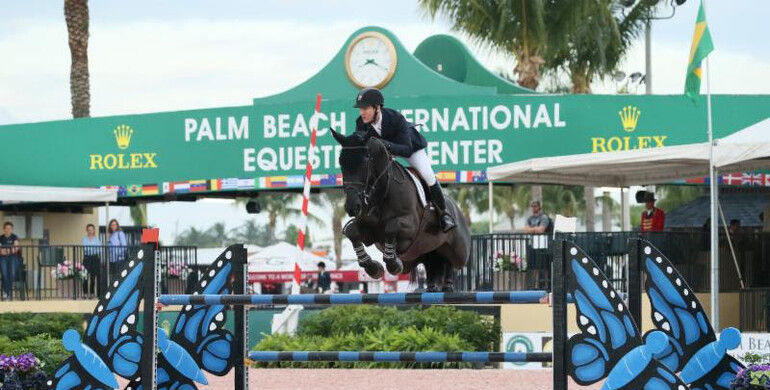 The 2019 Winter Equestrian Festival opens with a win for McLain Ward