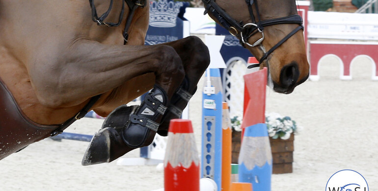 Sunday's CSI3* Grand Prix winners