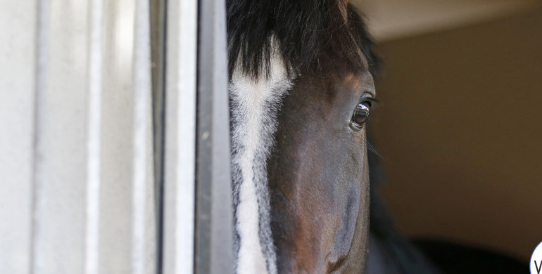 At home with the Philippaerts, part one