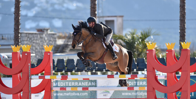 Nice Guy Z, Damocles From Second Life Z & Lady Angeles take the top honours in Young Horse Finals presented by Dammann Reitplatz u. Sportplatzbau GmbH