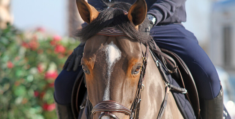 Postcard from the Mediterranean Equestrian Tour