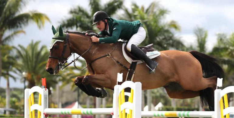 Kevin Babington and Mark Q win Equinimity WEF Challenge Cup round 4