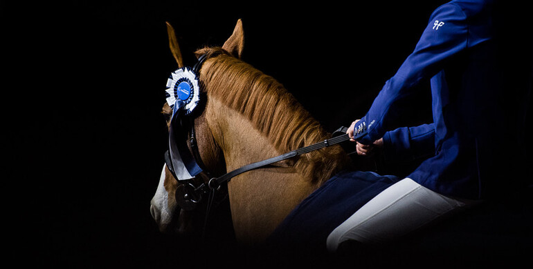 Postcard from the CSI2* Cavaliada in Lublin