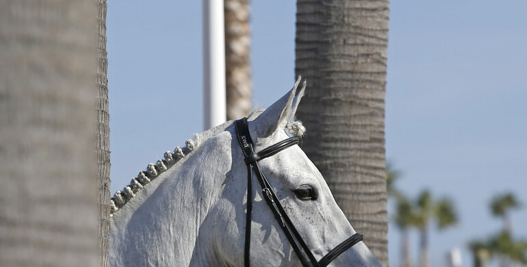 A postcard from the Mediterranean Equestrian Tour, part one
