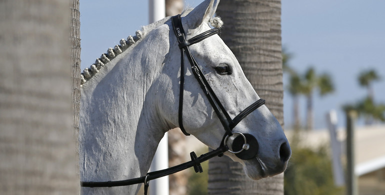 A postcard from the Mediterranean Equestrian Tour, part one