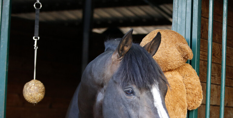 A postcard from the Mediterranean Equestrian Tour, part two