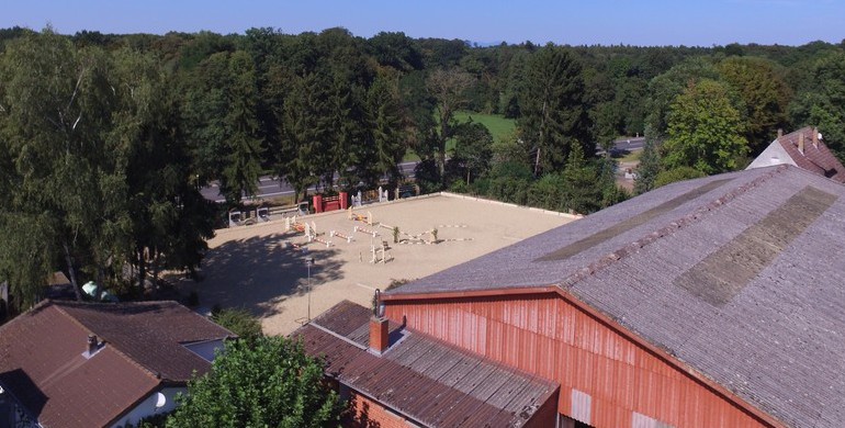 Reitanlage Wedde | Stables for rent at private showjumping stable close to Frankfurt Airport