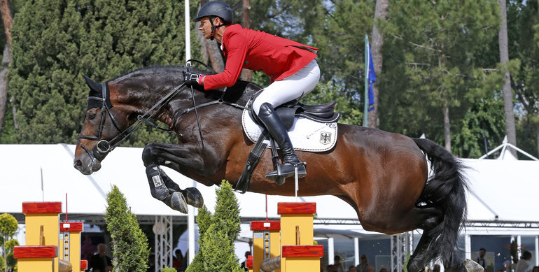 Van Gogh retires from the sport