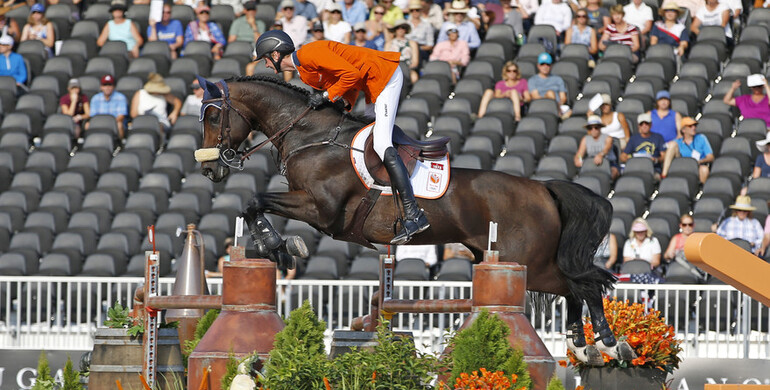 Chianti’s Champion sold