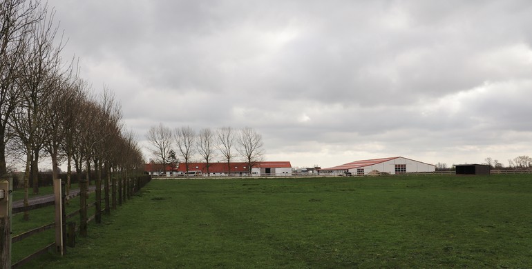 Stable and train with Philippe and Lucia Le Jeune