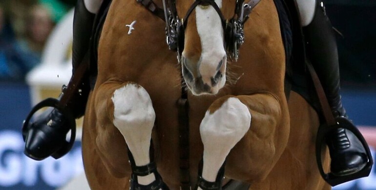 This weekend's CSI2* Grand Prix winners