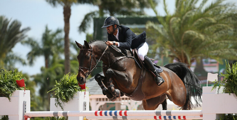 Nayel Nassar’s hot streak continues with win in $134,000 WEF Challenge Cup CSI5*