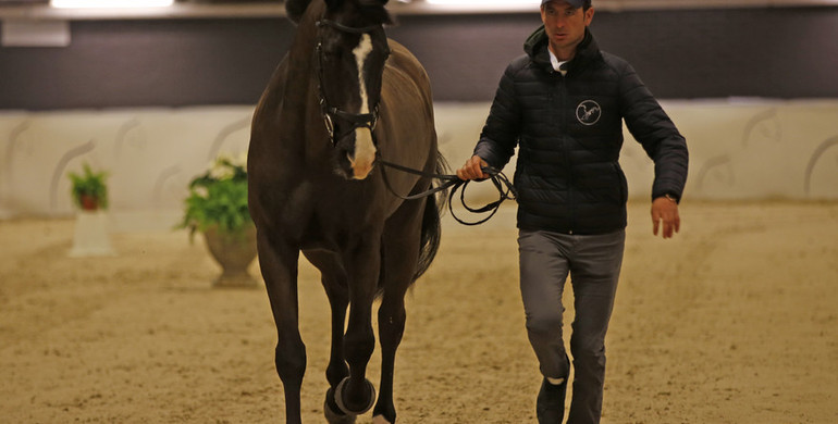 All horses through the second vet inspection at the Longines FEI World Cup Final