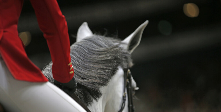 The 2020-edition of Fieracavalli Verona cancelled