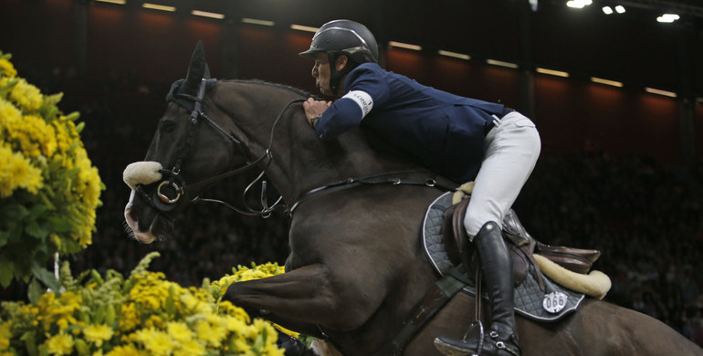 Steve Guerdat world no. one for 11th consecutive month