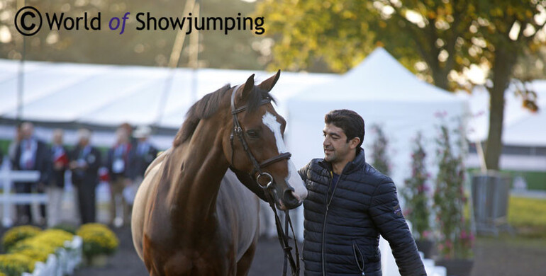 Images | The trot-up - part one