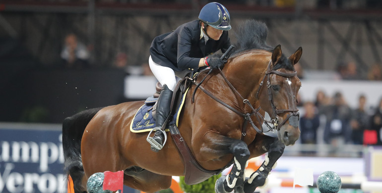 Stallion profile: Filou de Muze