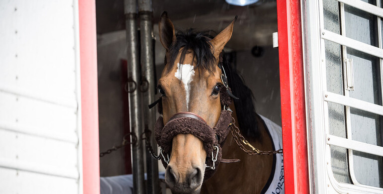 Equine stars of Longines Masters of New York arrive at NYCB LIVE