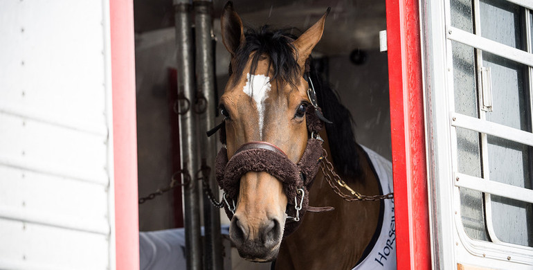 Equine stars of Longines Masters of New York arrive at NYCB LIVE