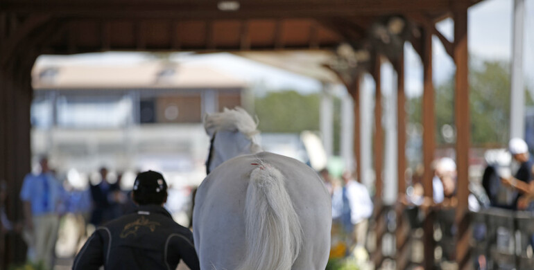 Looking toward the future of equestrian sports at the 2019 High Performance Sports Medicine Symposium