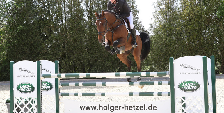 Holger Hetzel hosts a special kind of internet auction: 13 horses are now online