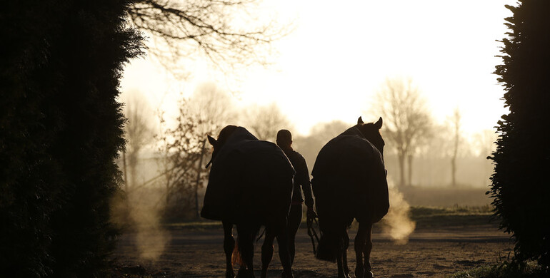 IJRC informs about horse travel from Spain