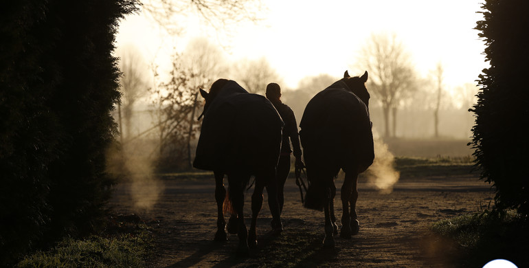 IJRC informs about horse travel from Spain