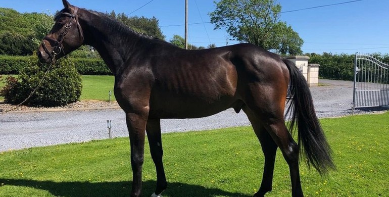 2019 Brightwells Auction presents L Special G