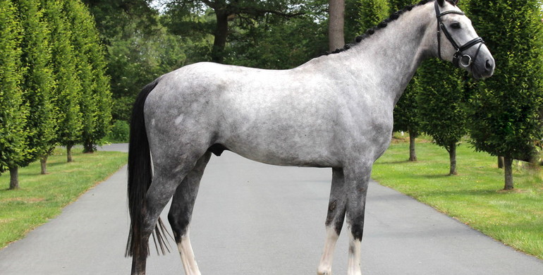 2019 Brightwells Auction presents Apollo