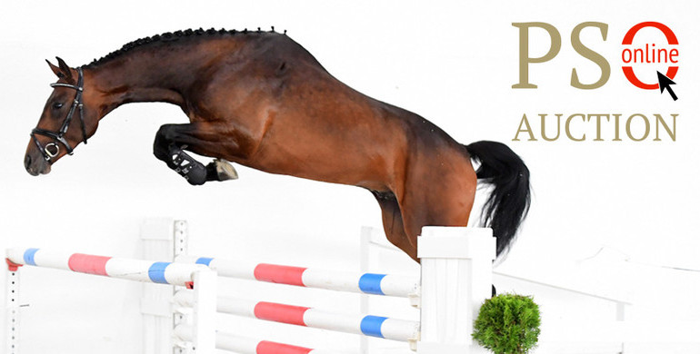 1st online-auction for show jumpers of Deckstation Paul Schockemöhle