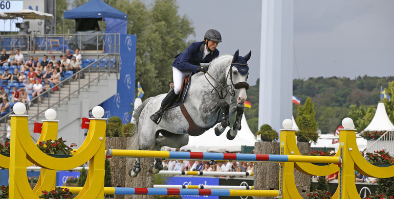 Silver Shine to Niklaus Schurtenberger