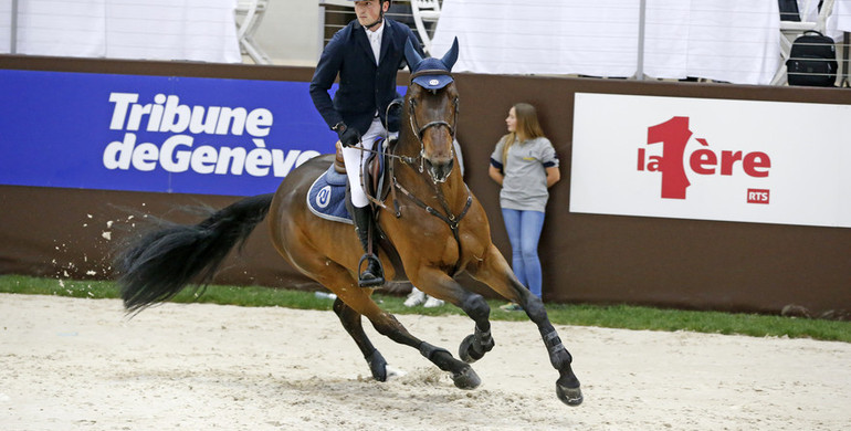 Lorenzo de Luca with new job at Stephex Stables