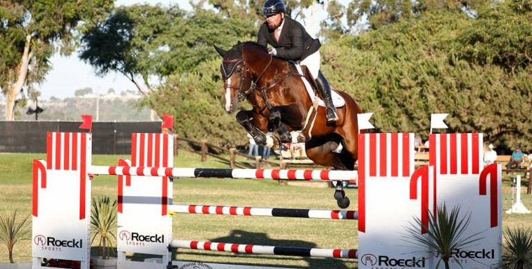 Guy Thomas leads the victory gallops in the FEI CSI2* Silver Tour highlight event