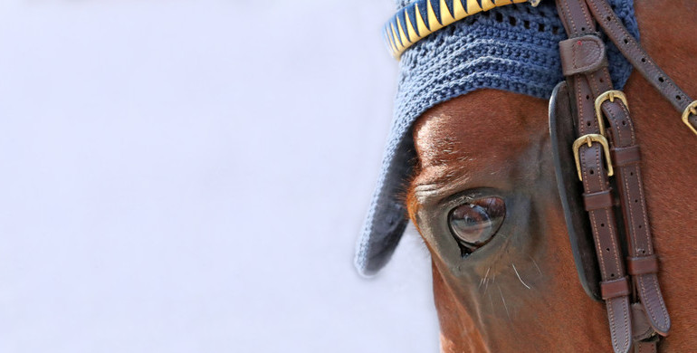 Decisions on FEI Championships deferred to Board's June meeting