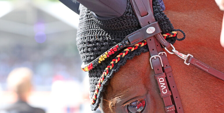 2021 FEI European Championships in jumping cancelled