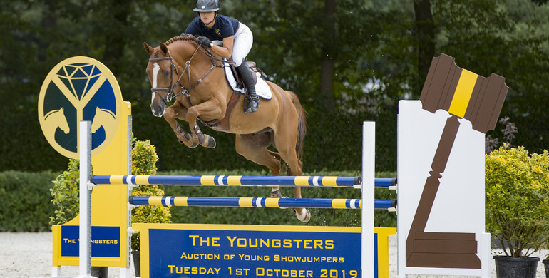 The Youngsters  - Auction of Young Showjumpers presents:  2019 Collection of ridden sporthorses & loose jumpers