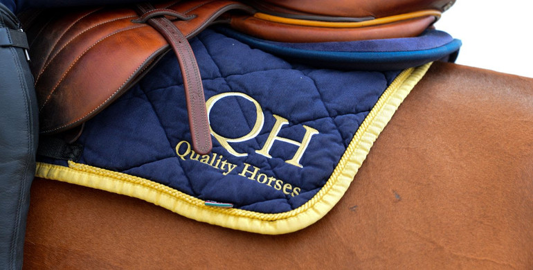 Zangersheide.Auction presents Quality Horses Auction