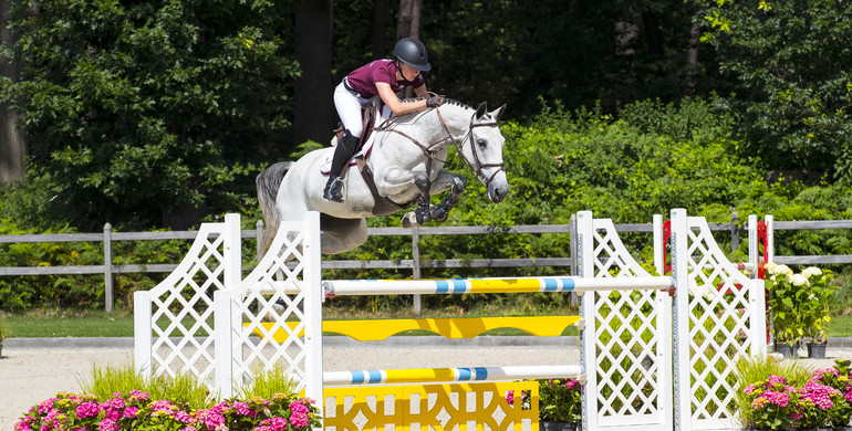 Dutch Sport Horse Sales offers future Grand Prix show jumpers