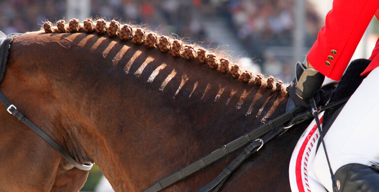 This weekend's CSI2* and CSI3* Grand Prix winners