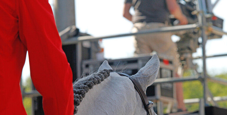 2020 FEI European Championships for children, juniors and young riders cancelled