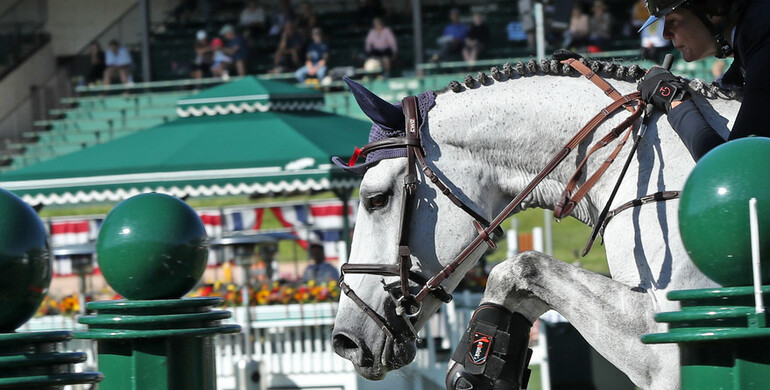 This weekend's CSI2* Grand Prix winners