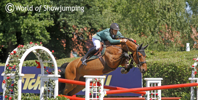 Embryo by Emerald out of Walnut de Muze goes for 60,000 Euro at 'Horseman Online Auction'