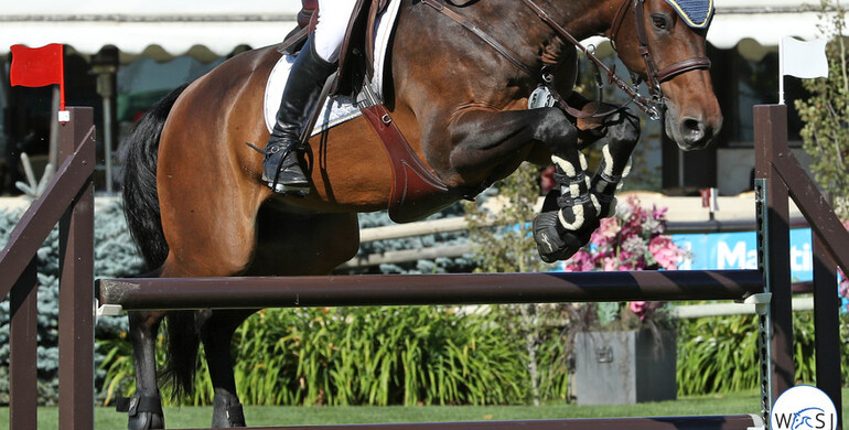 This weekend's CSI3* and CSI2* Grand Prix winners