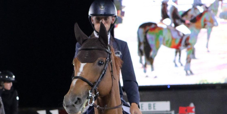 Wilm Vermeir makes it a home win at Waregem Horse Week