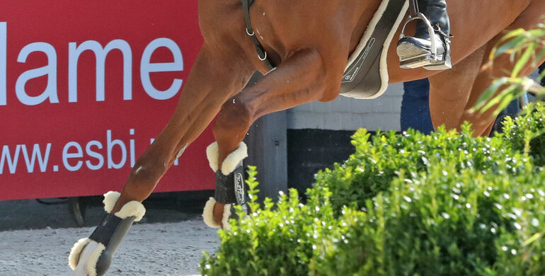 This weekend's CSI3* and CSI2* Grand Prix winners